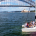 Rockfish Catamarans 10 facts Sydney Harbour